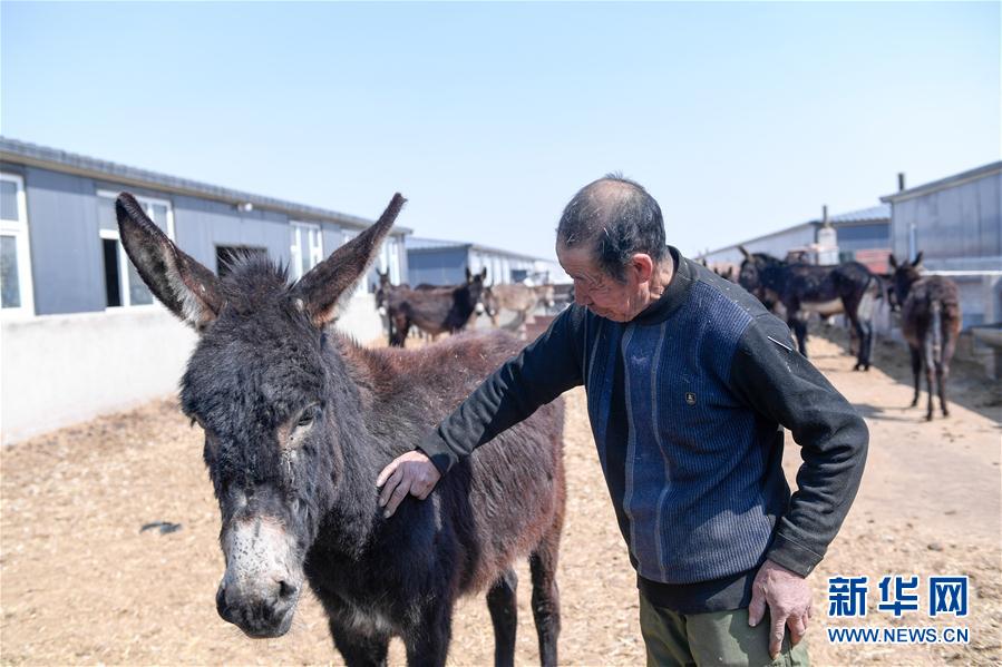 （脱贫攻坚&middot;扶贫印记）（13）&ldquo;搬&rdquo;出来的幸福