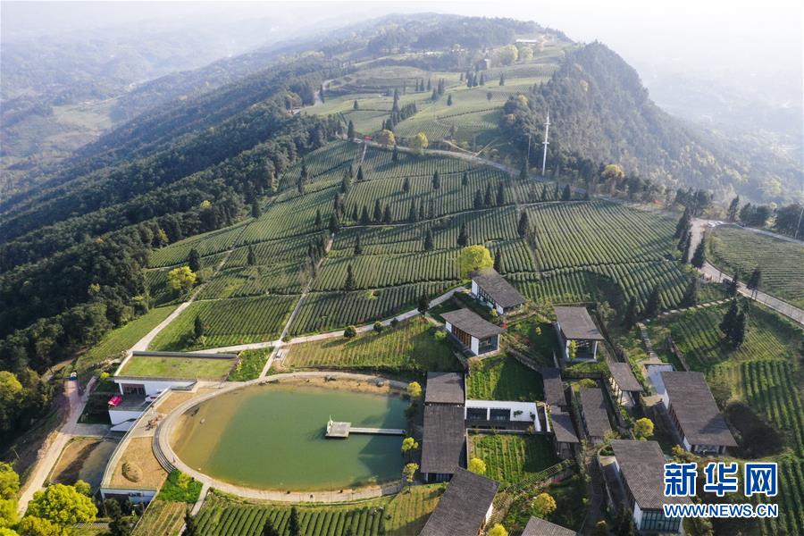 (新华全媒头条·走向我们的小康生活·图文互动)(3)大城大乡的“幸福协奏曲”——重庆推动高质量发展创造高品质生活纪事