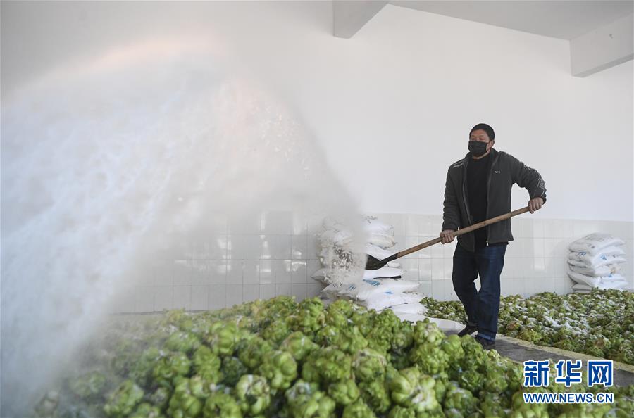 (新华全媒头条·走向我们的小康生活·图文互动)(6)大城大乡的“幸福协奏曲”——重庆推动高质量发展创造高品质生活纪事