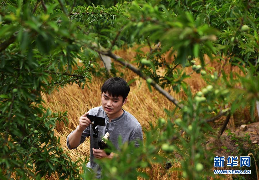 (新华全媒头条·走向我们的小康生活·图文互动)(8)大城大乡的“幸福协奏曲”——重庆推动高质量发展创造高品质生活纪事