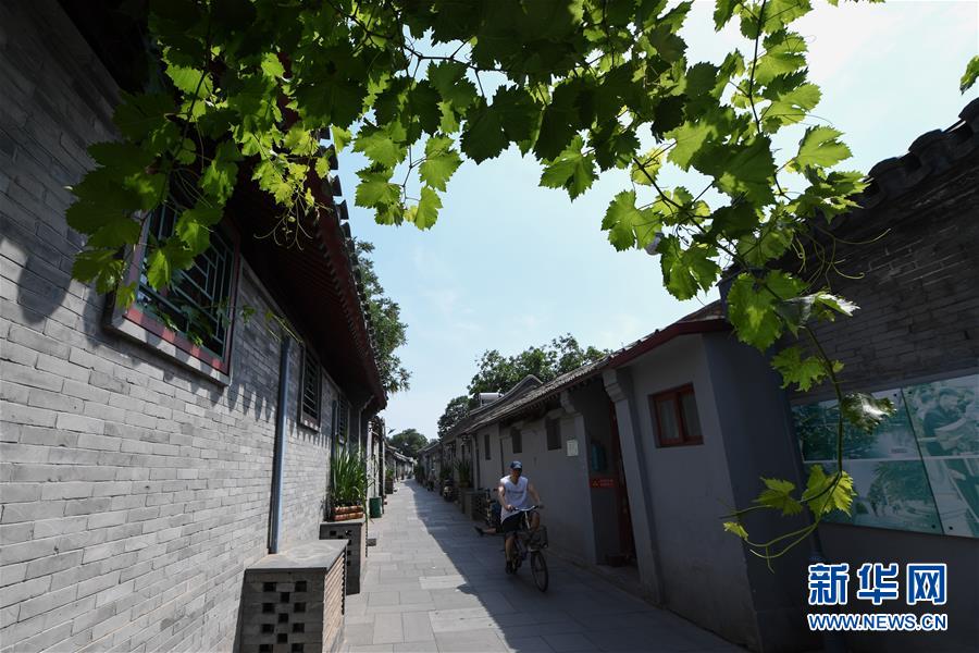 （走向我们的小康生活·图文互动）（1）小桥、流水、书香、人家——老北京胡同里的恬静栖居