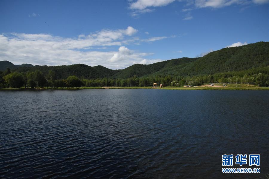 （图文互动）（1）小兴安岭林区的“山”变