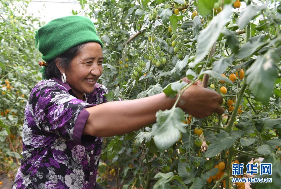 （脱贫攻坚）（5）大凉山脱贫影像志&mdash;&mdash;妇女撑起脱贫致富&ldquo;半边天&rdquo;