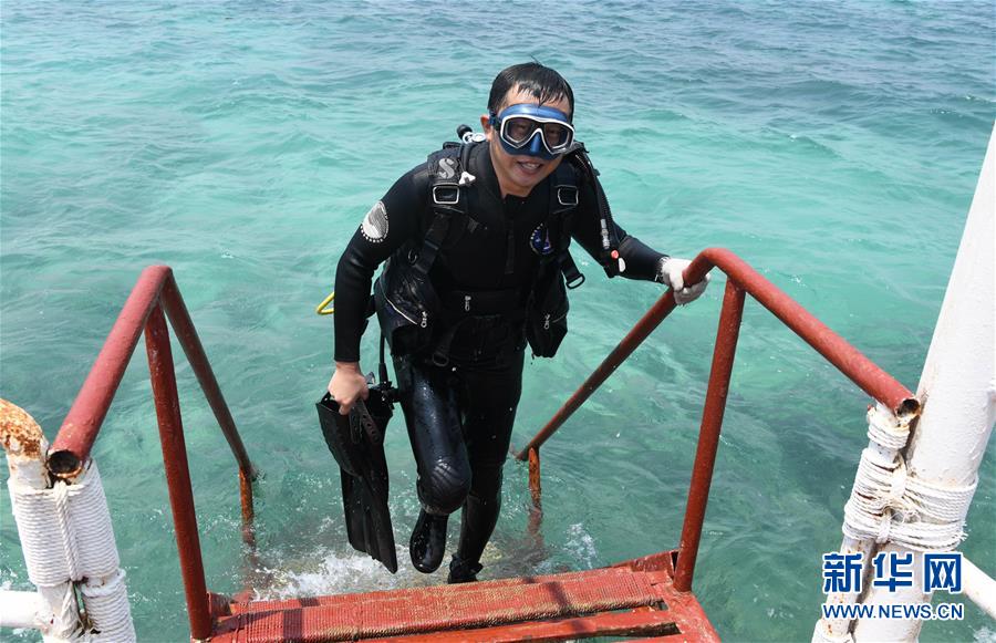 (在习近平新时代中国特色社会主义思想指引下——新时代新作为新篇章·习近平总书记关切事·图文互动)(5)终不悔为国为民,攀高峰只争朝夕——来自科学家们的动人故事