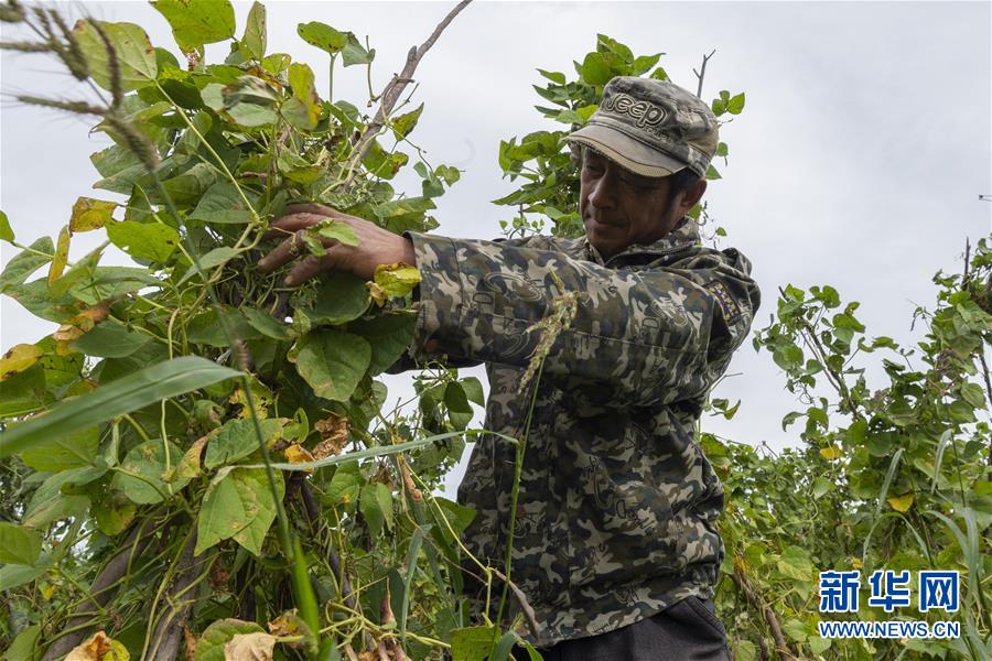 （决战决胜脱贫攻坚&middot;图文互动）（3）团结村的李辉新传