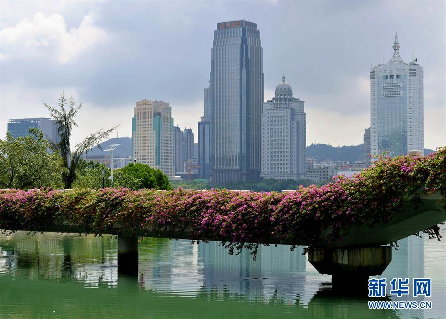 （特区40年▪图文互动）（7）厦庇五洲客 门纳万顷涛——厦门经济特区40年发展纪实