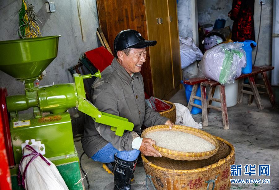 （中國農民豐收節·圖文互動）（3）“洞庭米王”豐收心曲：粒粒辛苦方有“一粥一飯”
