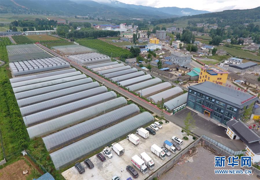 （走向我们的小康生活&middot;决战决胜脱贫攻坚&middot;图文互动）（1）把产业兴盛之&ldquo;根&rdquo;扎进大凉山