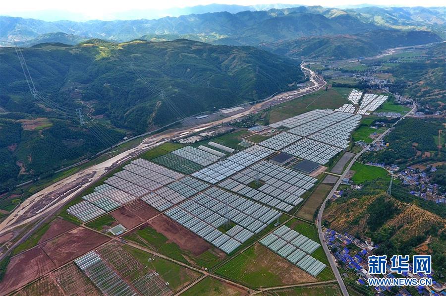 （走向我们的小康生活&middot;决战决胜脱贫攻坚&middot;图文互动）（2）把产业兴盛之&ldquo;根&rdquo;扎进大凉山