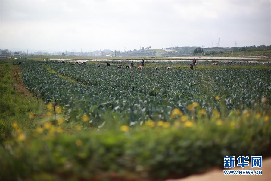 （新华全媒头条&middot;走向我们的小康生活&middot;决战决胜脱贫攻坚&middot;图文互动）（4）千年之渴今朝解&mdash;&mdash;贵州贫困群众实现&ldquo;吃水不愁&rdquo;