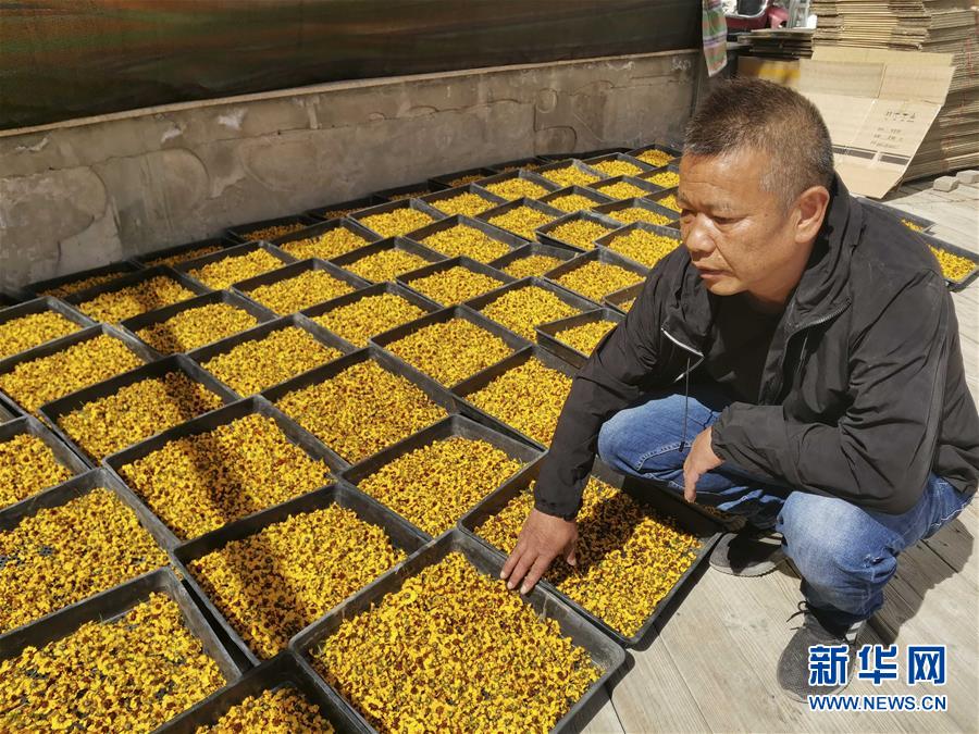 (决战决胜脱贫攻坚·图文互动)(2)帕米尔高原盛开“富民花”