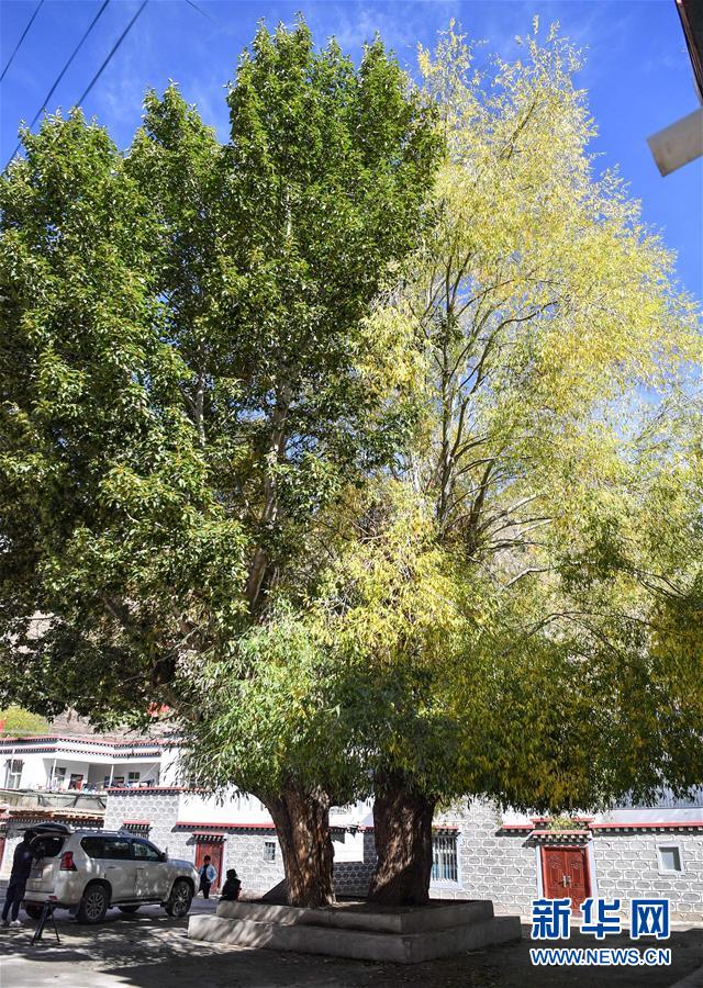 (图文互动)(2)历史遗迹的述说——西藏昌都源远流长的民族团结故事