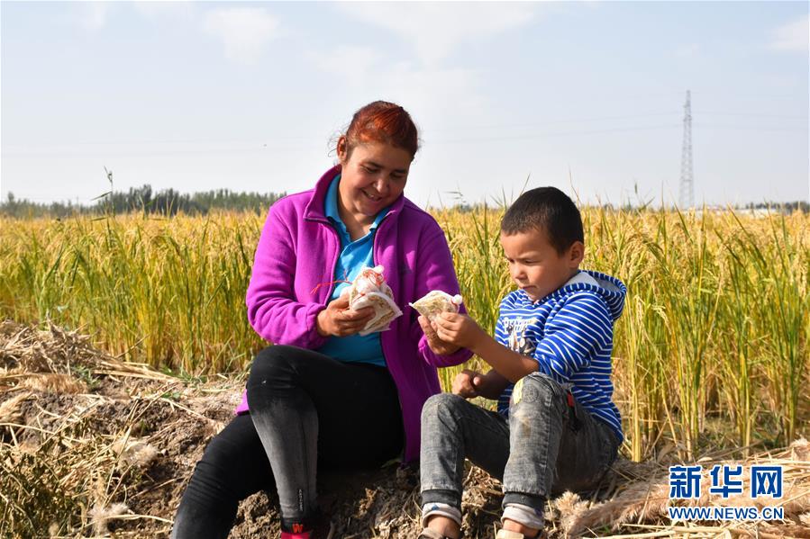 (图文互动)(4)我在塔克拉玛干沙漠种水稻