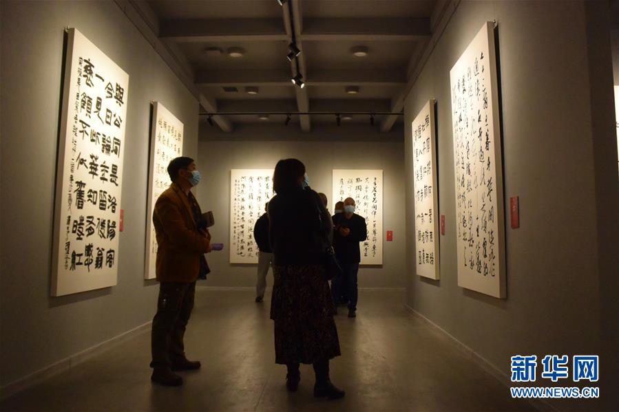 (新华网·图文互动)(3)“黄河明珠——龙门石窟国际书法名家邀请展”开展