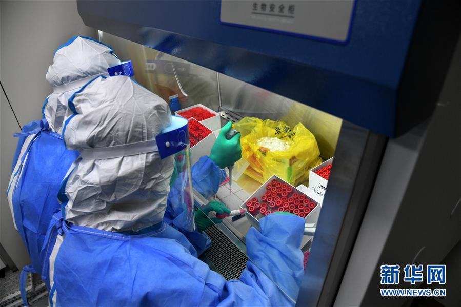 （聚焦疫情防控&middot;图文互动）（4）青岛全员核酸检测基本完成