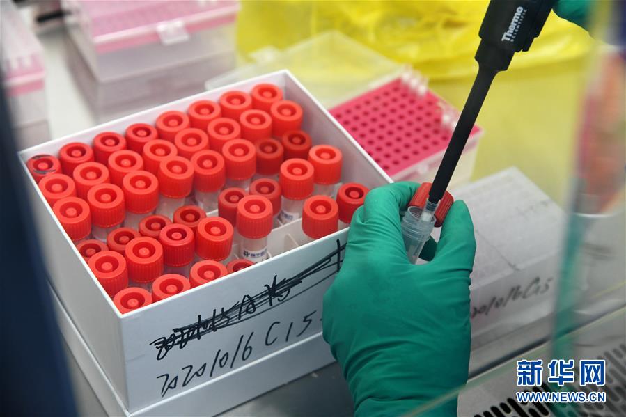 （聚焦疫情防控&middot;图文互动）（5）青岛全员核酸检测基本完成