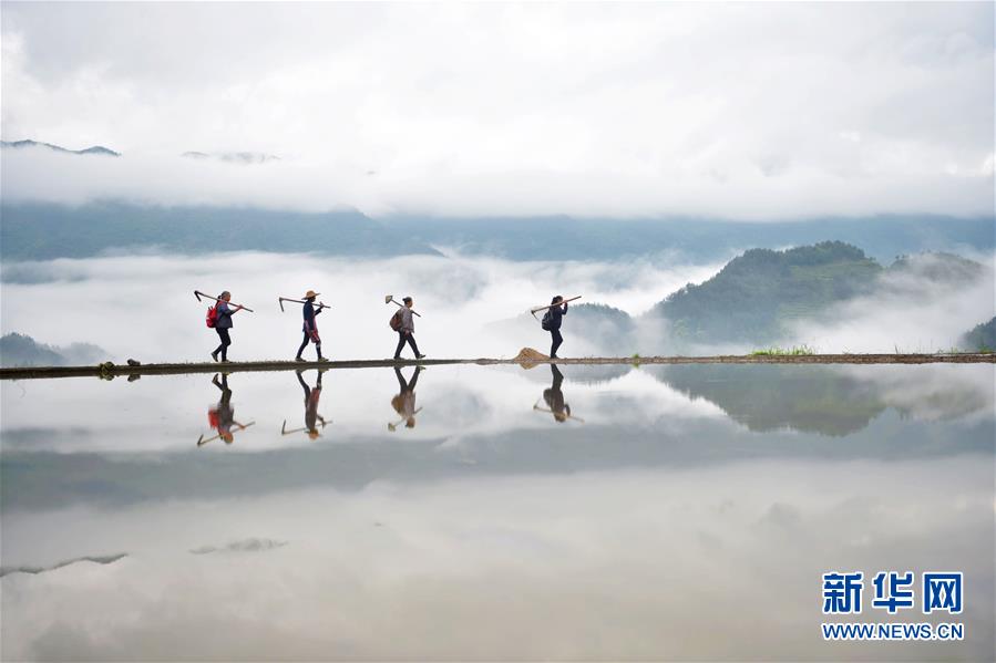 #(新华视界)(7)影像回眸“十三五”——绿色发展