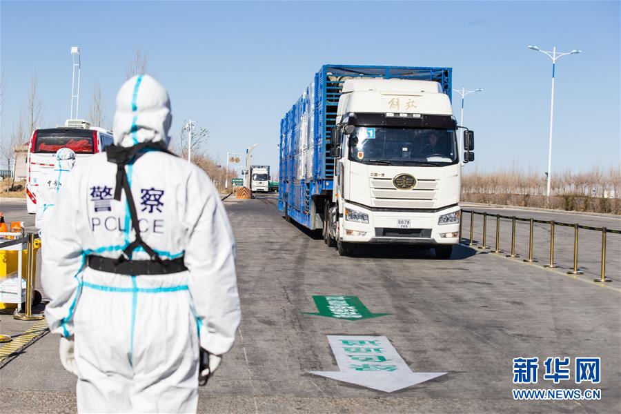 （社会）（1）中国开始接收蒙古国3万只“捐赠羊”