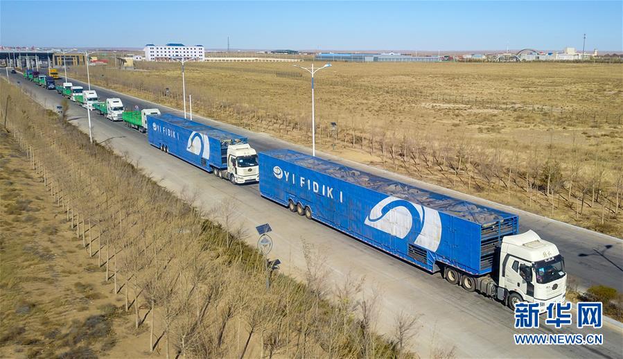 （社会）（3）中国开始接收蒙古国3万只“捐赠羊”