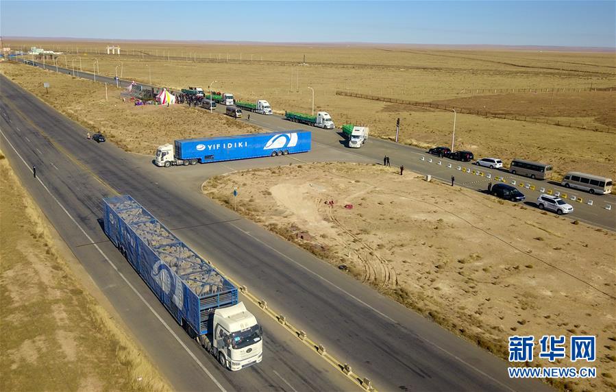 （社会）（8）中国开始接收蒙古国3万只“捐赠羊”