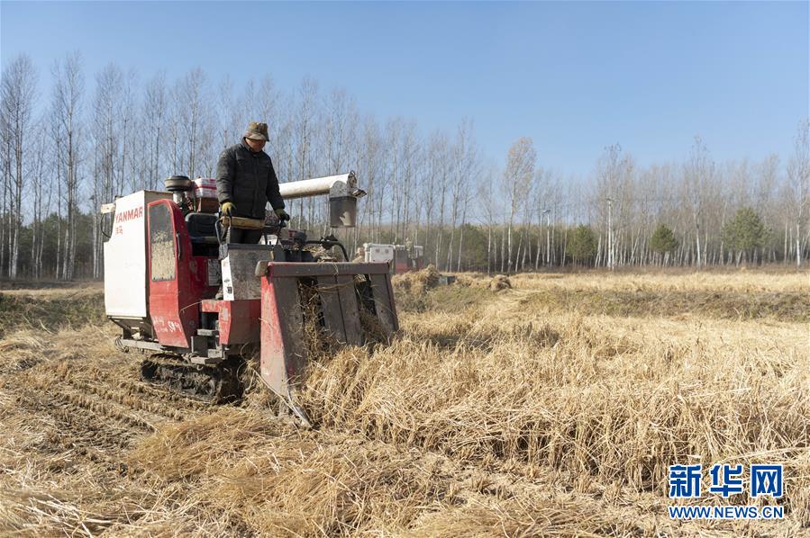 (全面建成小康社会“百城千县万村调研行”·图文互动)(4)“土改第一村”的小康路