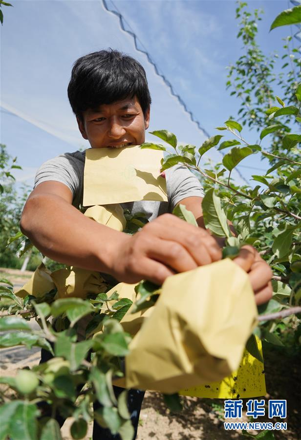 (习近平的小康故事·图文互动)(2)“我很期盼的一件事,就是让乡亲们饱餐一顿肉”——习近平和脱贫攻坚的故事