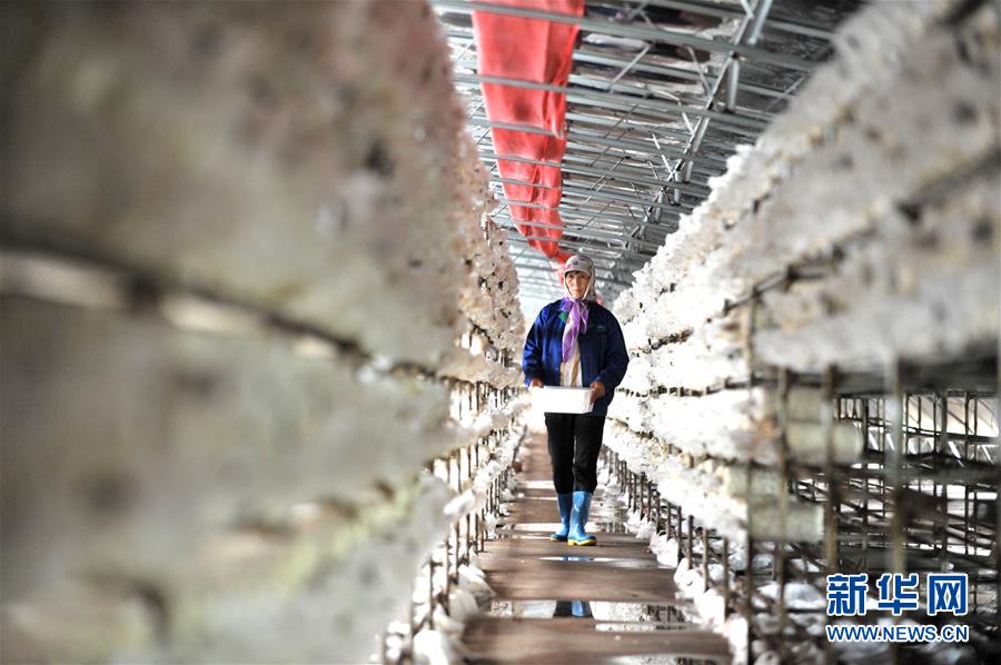 (习近平的小康故事·图文互动)(6)“我很期盼的一件事,就是让乡亲们饱餐一顿肉”——习近平和脱贫攻坚的故事