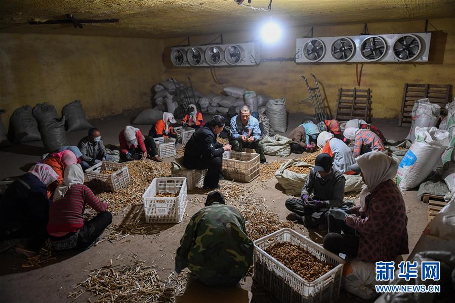 (习近平的小康故事·图文互动)(8)“我很期盼的一件事,就是让乡亲们饱餐一顿肉”——习近平和脱贫攻坚的故事