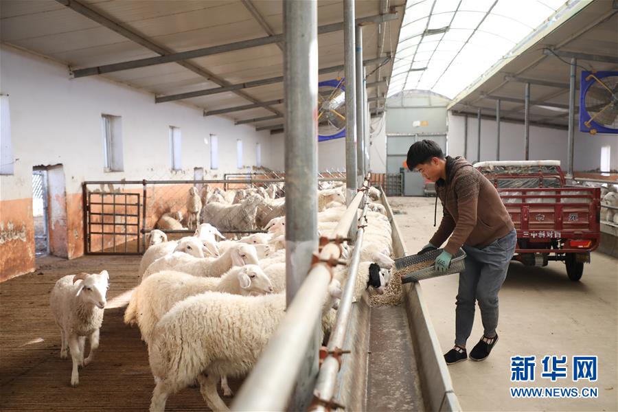 （决战决胜脱贫攻坚）（1）甘肃东乡：布楞沟村&ldquo;换新颜&rdquo;