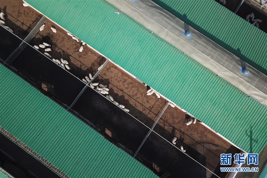 （决战决胜脱贫攻坚）（8）甘肃东乡：布楞沟村&ldquo;换新颜&rdquo;