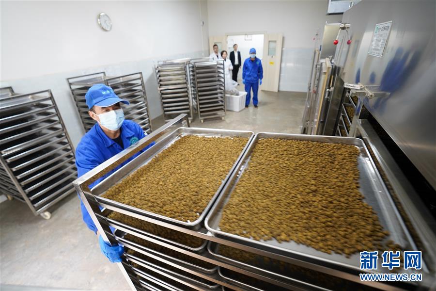 (决战决胜脱贫攻坚·图文互动)(3)重庆三峡库区从“中华药库”里探寻脱贫致富“良方”