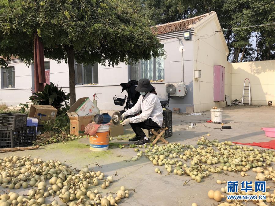 （图文互动）（1）&ldquo;葫芦村&rdquo;的&ldquo;生意经&rdquo;