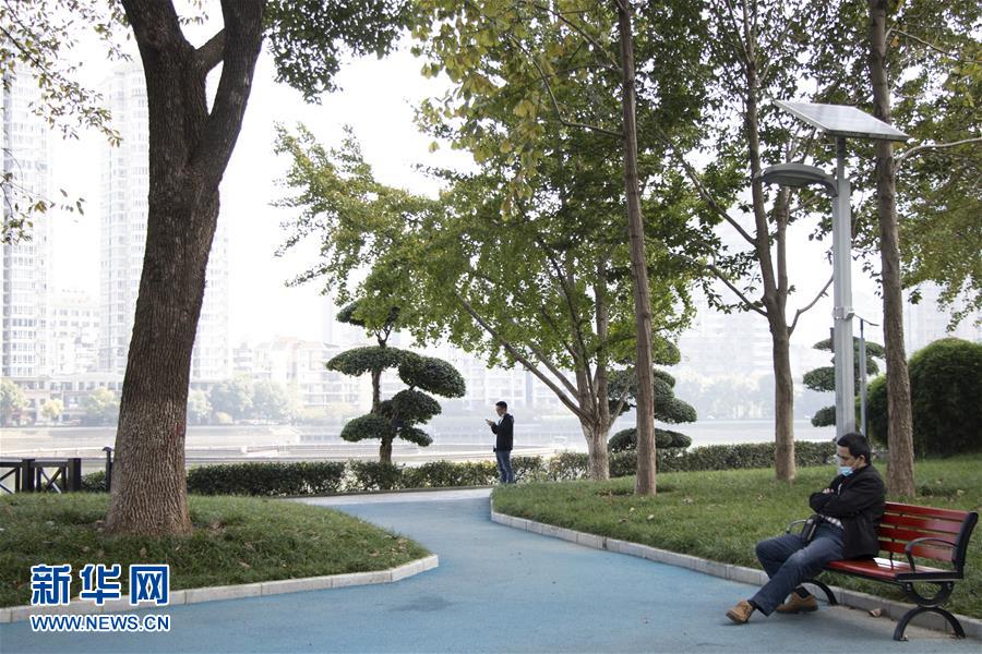 (全面建成小康社会“百城千县万村调研行”·图文互动)(1)武汉:从“见缝插楼”到“见缝播绿”