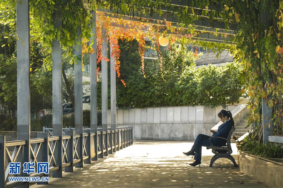 (全面建成小康社会“百城千县万村调研行”·图文互动)(2)武汉:从“见缝插楼”到“见缝播绿”