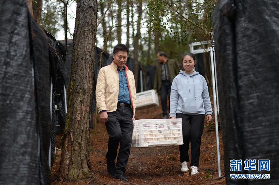 #（图片故事）（1）贵州三穗木界村：迈步小康路