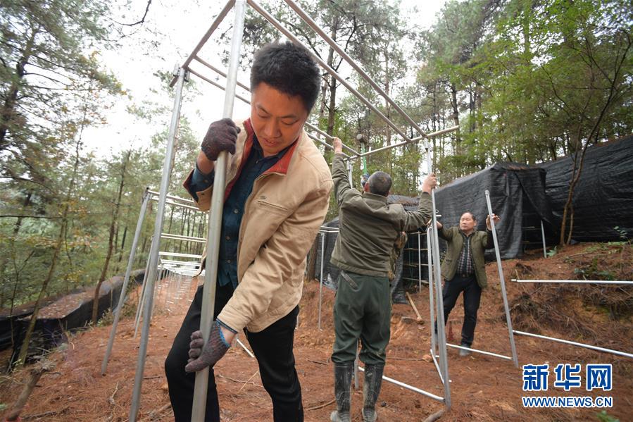 #（图片故事）（2）贵州三穗木界村：迈步小康路