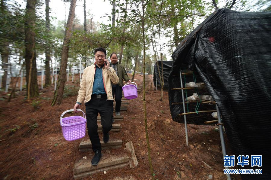 #（图片故事）（4）贵州三穗木界村：迈步小康路