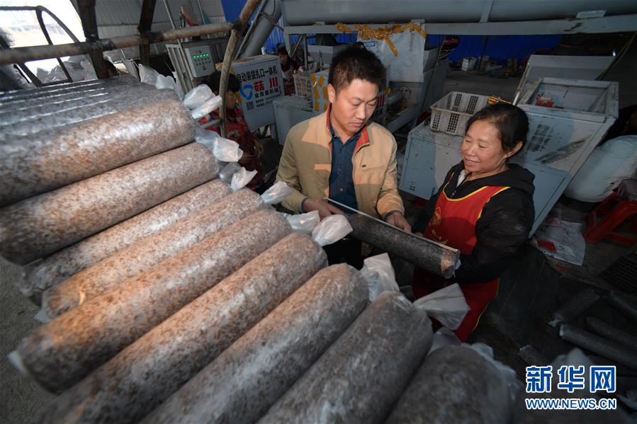 #（图片故事）（6）贵州三穗木界村：迈步小康路