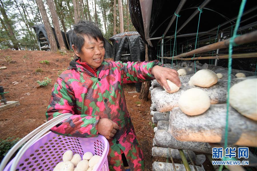 #（图片故事）（9）贵州三穗木界村：迈步小康路