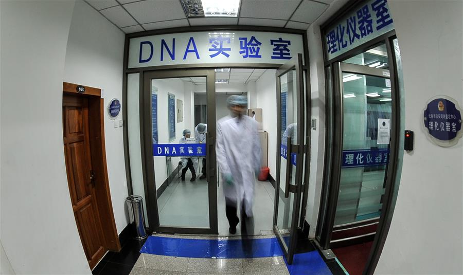 （新华全媒头条&middot;图文互动）（1）破案惩凶铸正义&mdash;&mdash;全国公安机关推进命案积案攻坚行动纪实