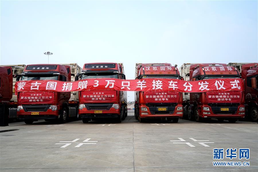 （新华全媒头条&middot;图文互动）（1）在世界大变局中引领前行的方向&mdash;&mdash;2020年中国元首外交综述