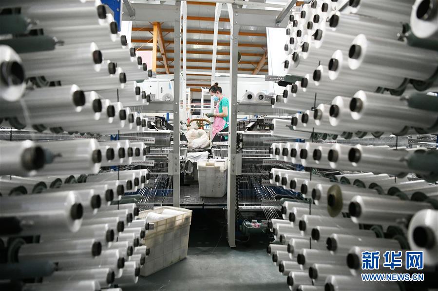 （两会&middot;热点画报）（19）代表委员建言统筹做好经济社会发展工作