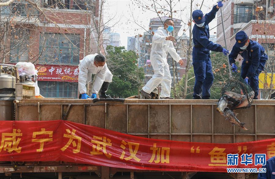 （新華全媒頭條·圖文互動）（12）從人民中汲取磅薄力量——習近平總書記同出席2020年全國兩會人大代表、政協委員共商國是紀實