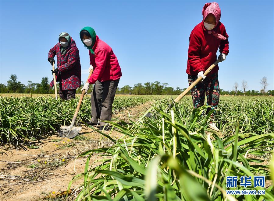 （新華全媒頭條·圖文互動）（17）從人民中汲取磅薄力量——習近平總書記同出席2020年全國兩會人大代表、政協委員共商國是紀實