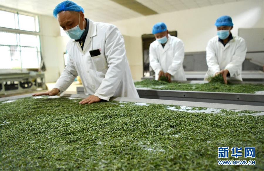 （新华全媒头条&middot;图文互动）（22）从人民中汲取磅礴力量&mdash;&mdash;习近平总书记同出席2020年全国两会人大代表、政协委员共商国是纪实