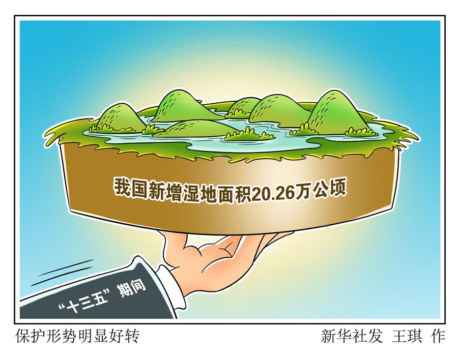（图表&middot;漫画）［环境］保护形势明显好转