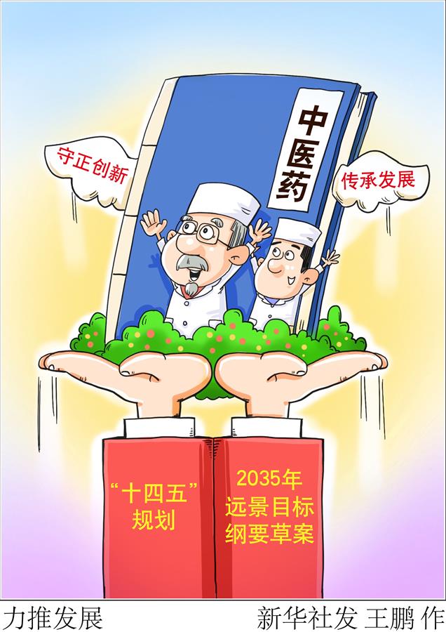 （图表&middot;漫画）［两会新华时评］力推发展
