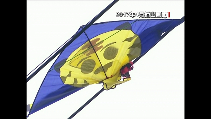 风筝轻飘飘风筝线如何伤人于无形？一旦被风筝缠上了该怎么办呢？