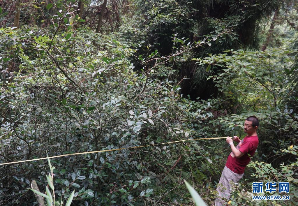 奋斗百年路 启航新征程丨陪伴·大爱·信念——汶川特大地震灾后恢复重建的精神力量
