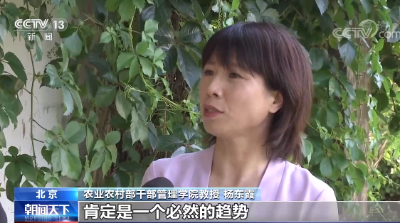 《乡村振兴促进法》今起施行 把乡村振兴工作纳入到法治轨道